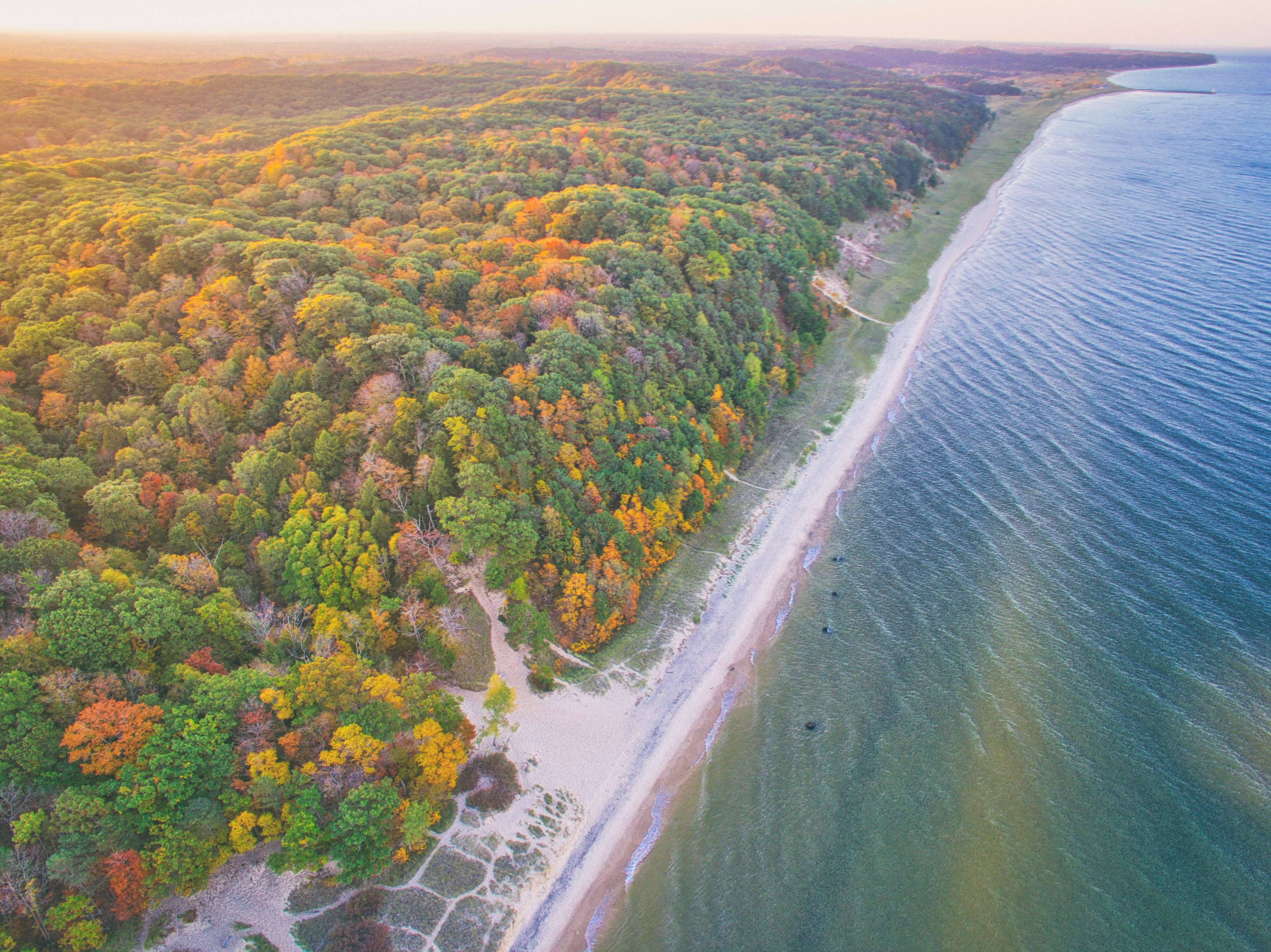 aerial drone photo of the fall foliage along the shoreline of a lake in Michigan