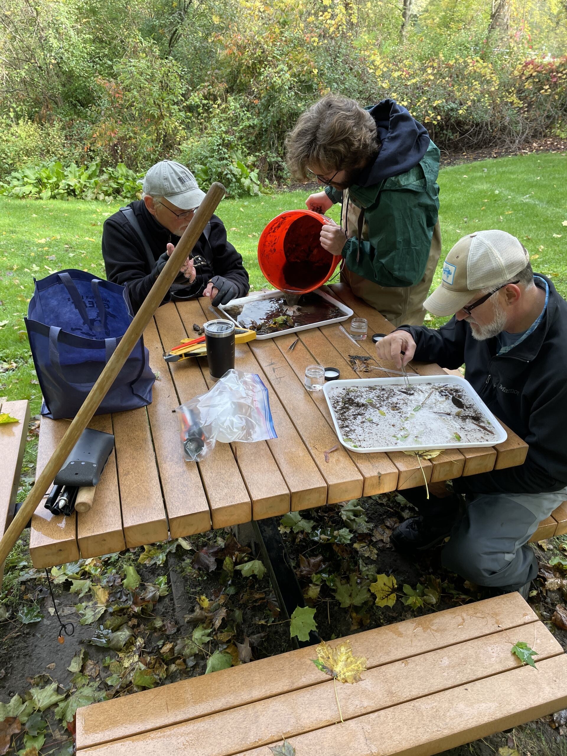 Three volunteers sitting at a picnic table, sifting through aquatic invertebrates on trash with tweezers