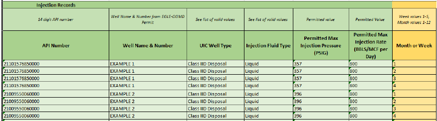 injection records table showing example information