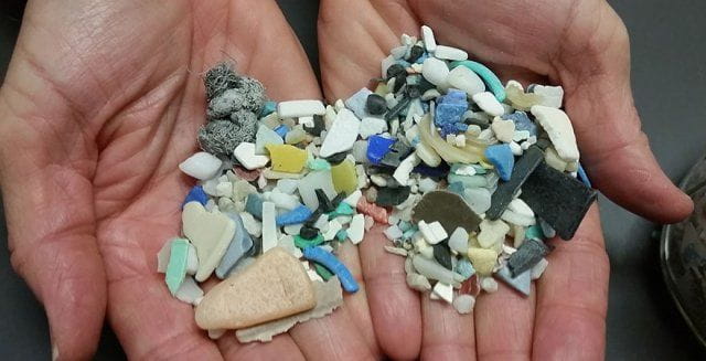 Person’s hands holding a variety of microplastics. Credit: EPA.