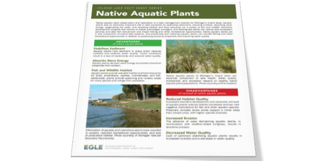Native aquatic plants fact sheet cover