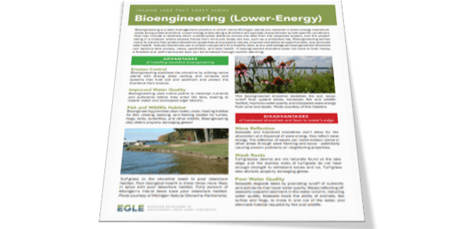 lower energy bioengineering fact sheet cover