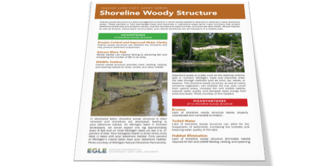 shoreline woody structure fact sheet cover