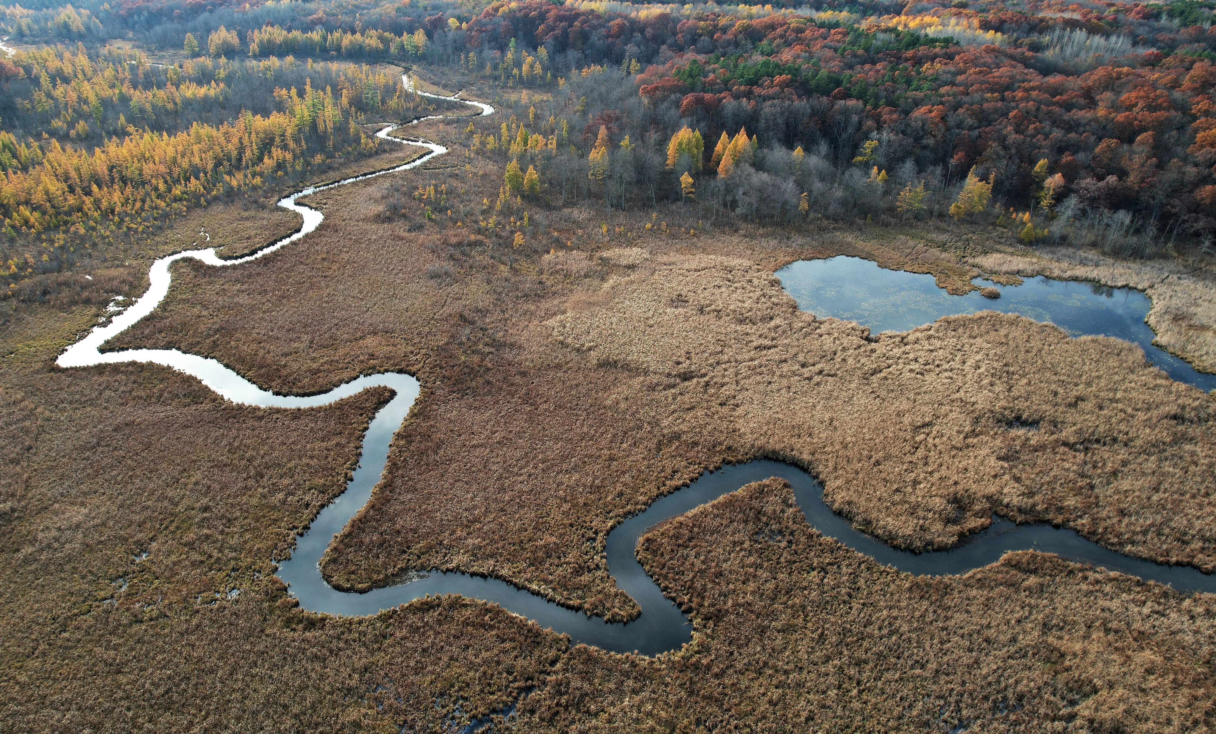 Michigan Stream Quantification Tool