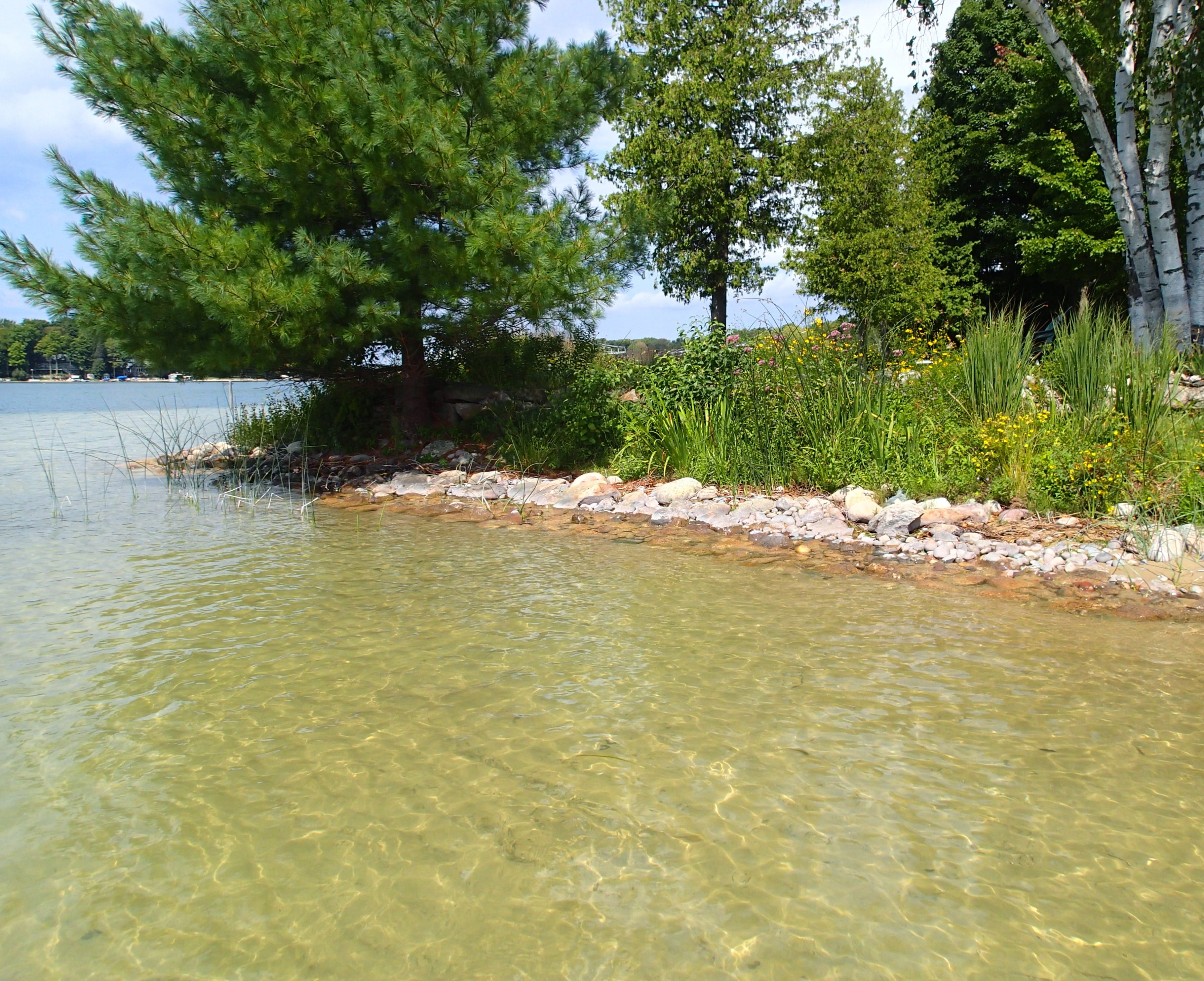 Inland Lake shoreline showing a bio-engineered shoreline 