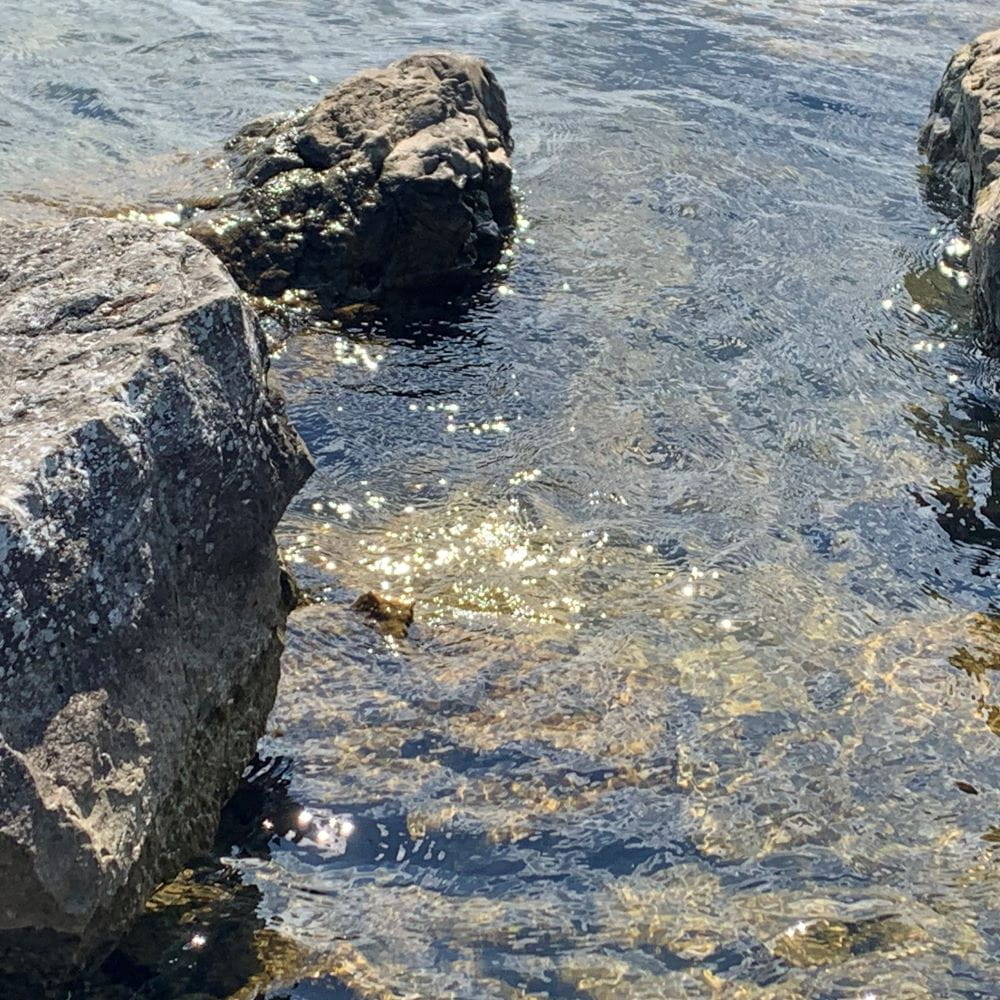Sunshine sparkling on the surface of a stream with large grey rocks in it