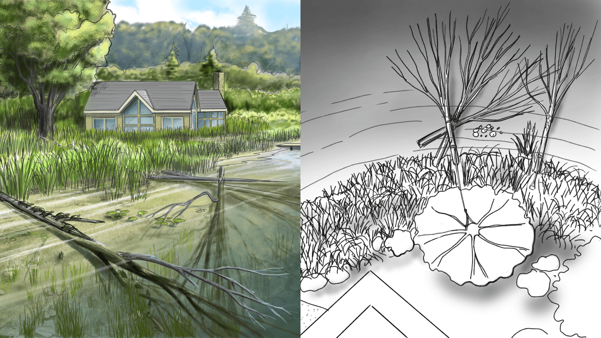 shoreline woody structure plans