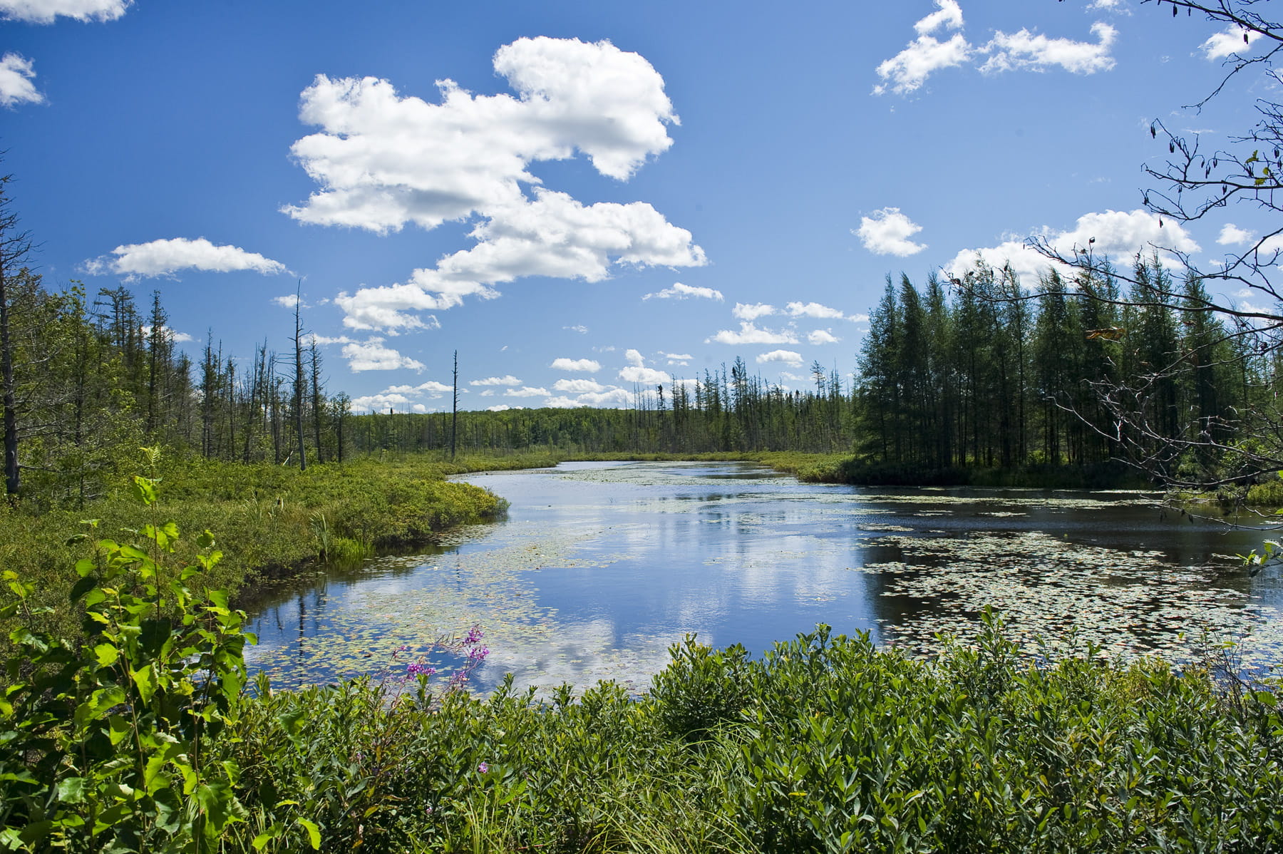 Spurr River off M-28 in Baraga County