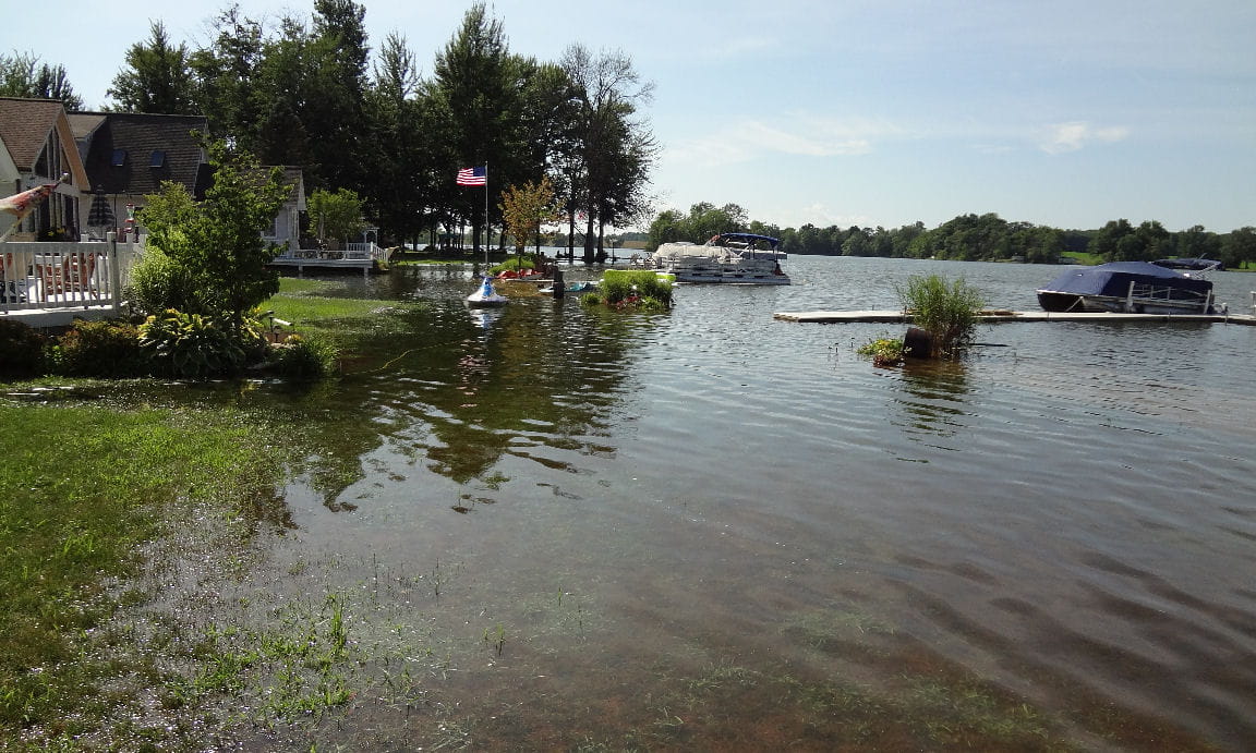 Flooded Shoreline