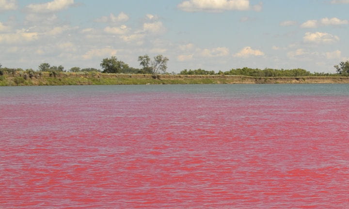 Tracer Dye in lake