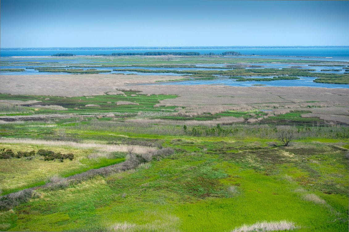 Pointe Mouillee State Game area and Environmental Area
