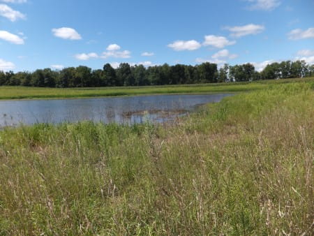 Lenawee County wetlands project (after) 2013