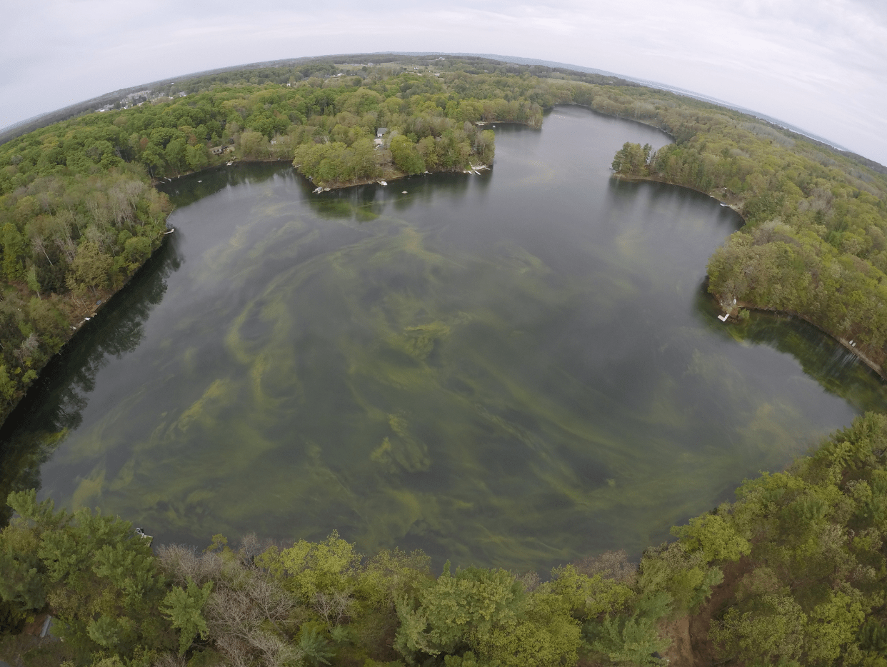 An aerial view of a large lake with swirls of green - a harmful algal bloom