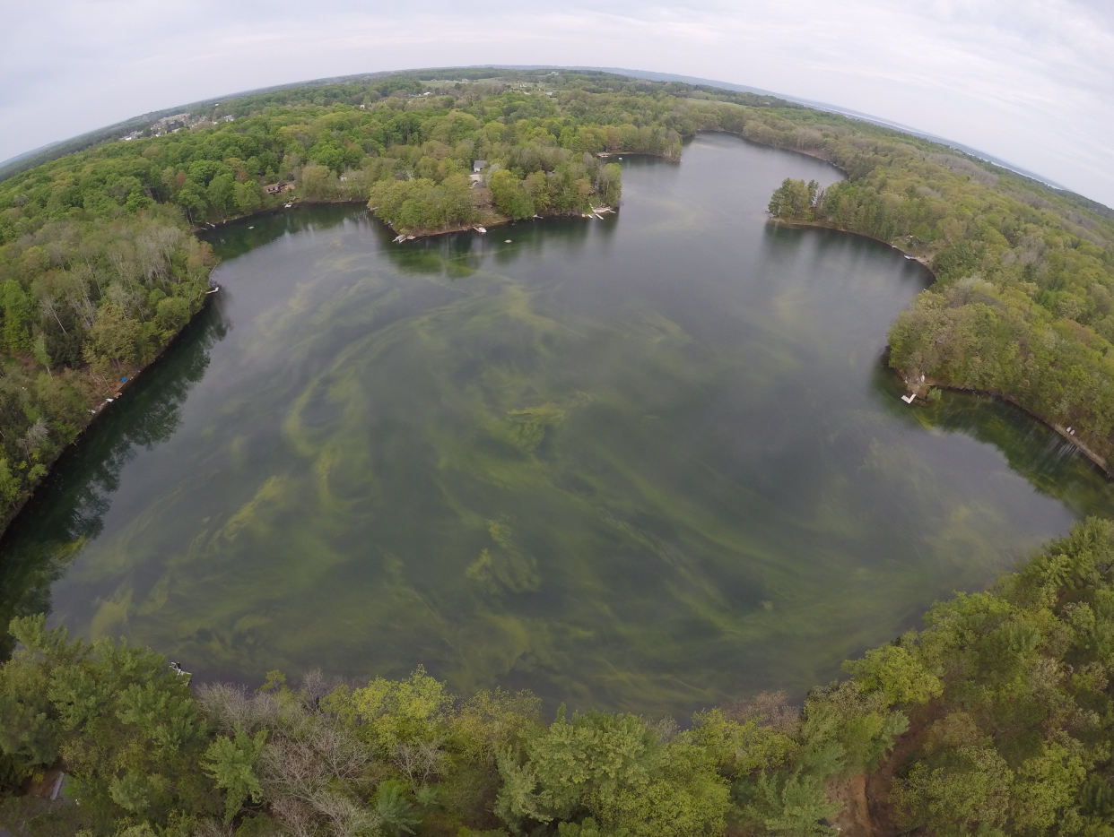 An aerial view of a large lake with swirls of green - a harmful algal bloom