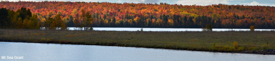 AOC Program - Torch Lake - Banner Image