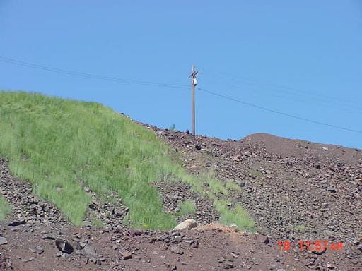 biosolids vs no biosolids on mine spoil pile