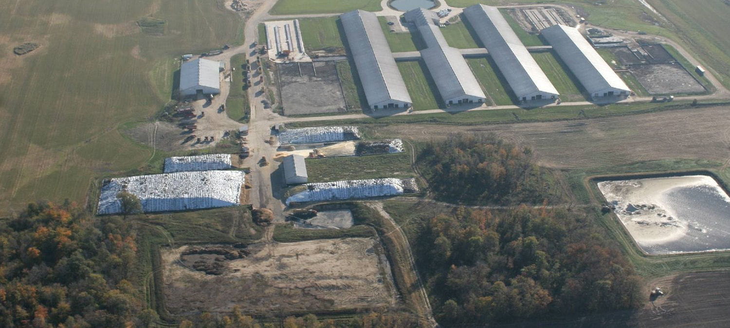 Generic CAFO in Michigan