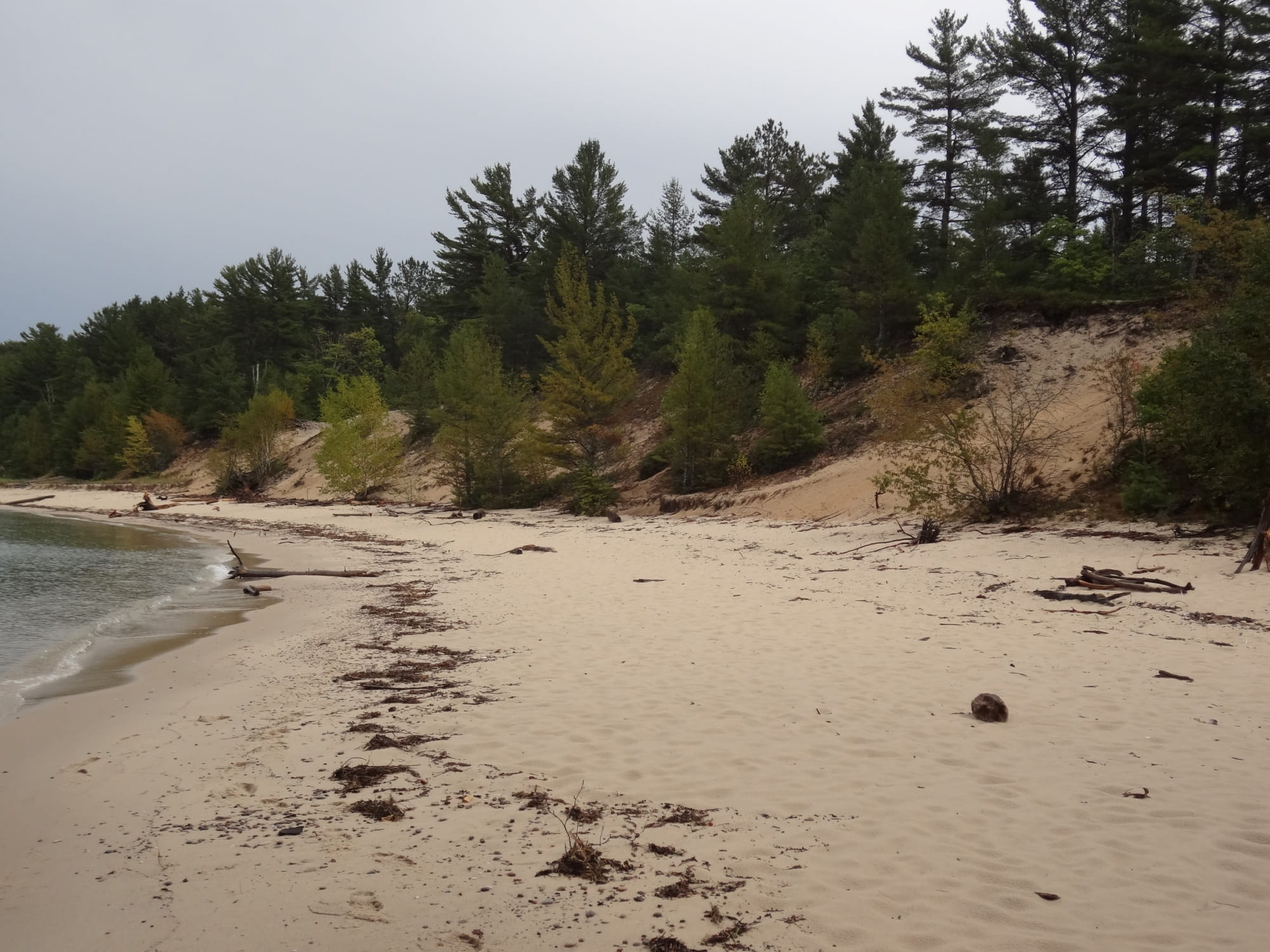 a barrier dune in Alger County Michigan