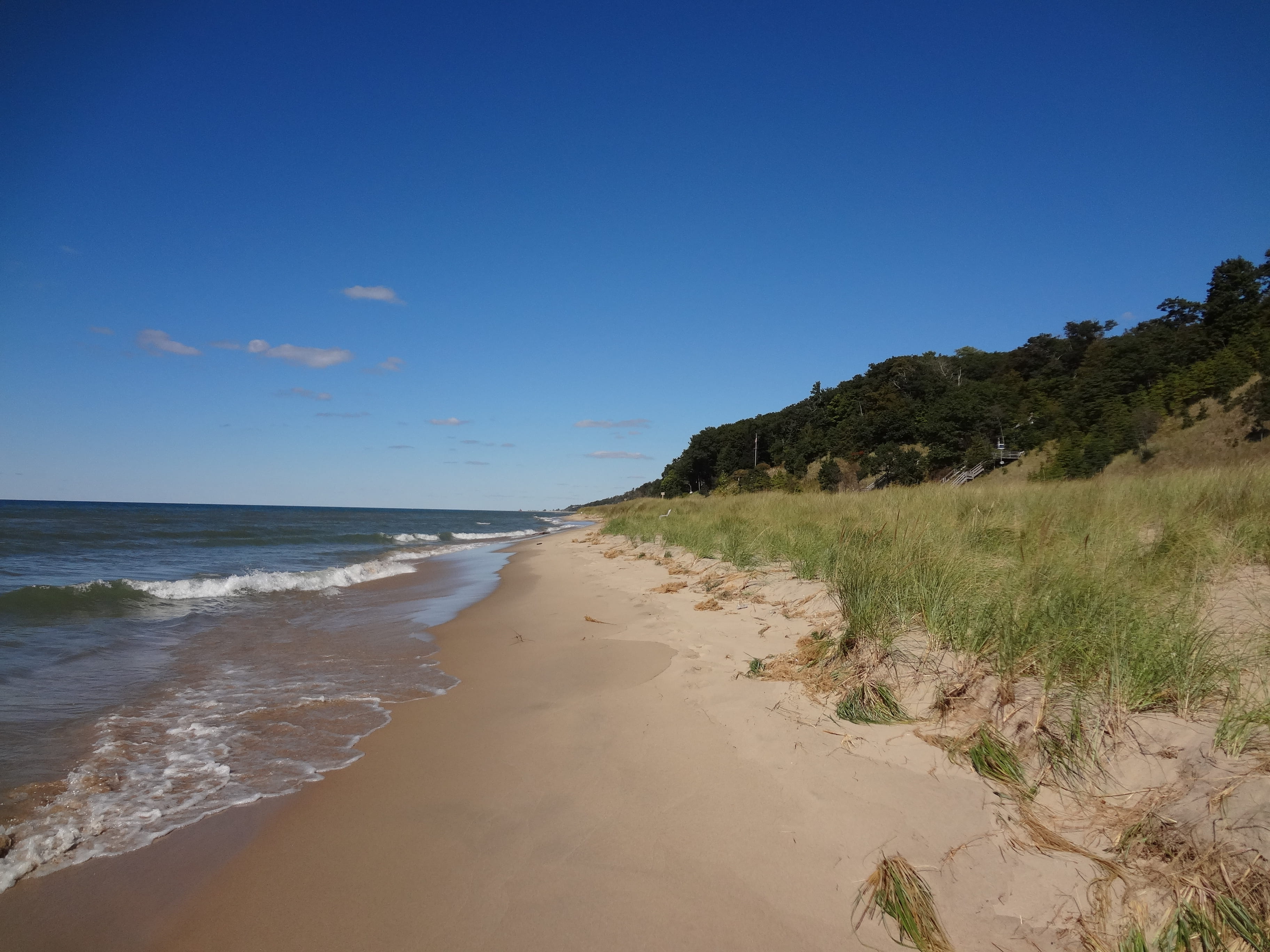 a critical dune area in Allegan County Michigan