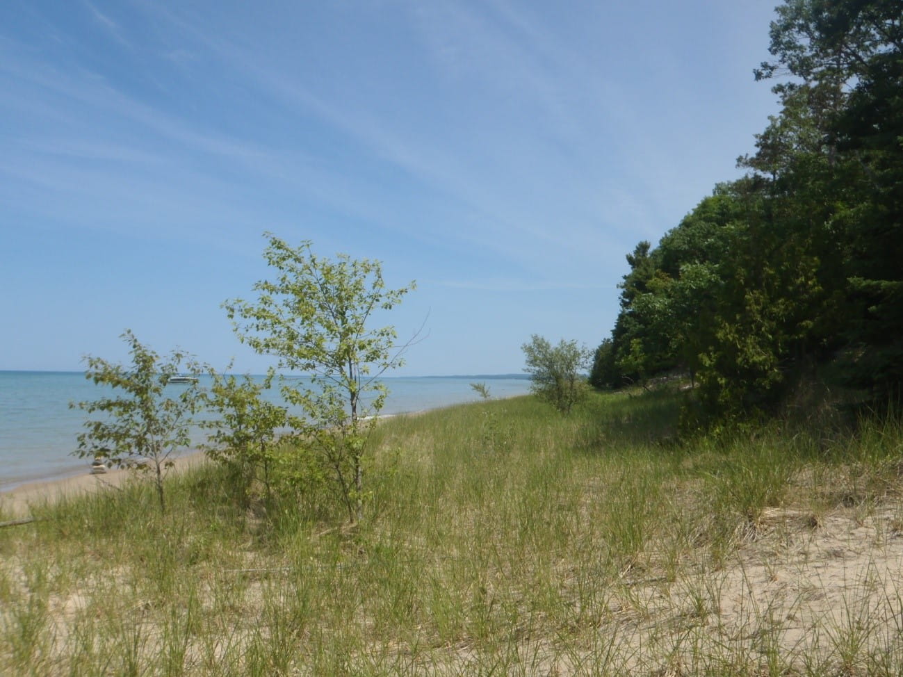 a foredune in Antrim County Michigan