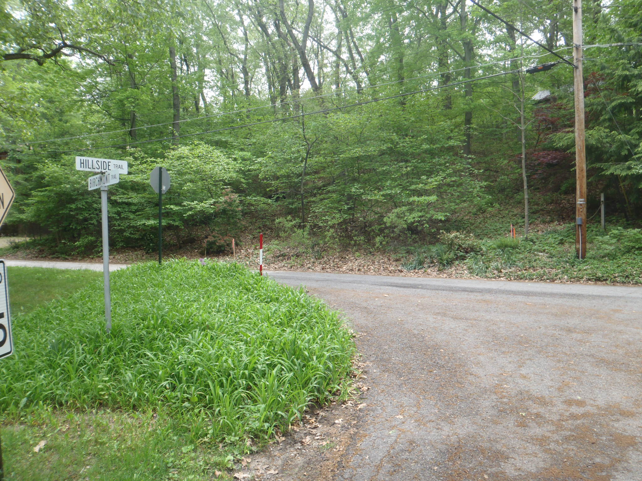 Berrien county dune features