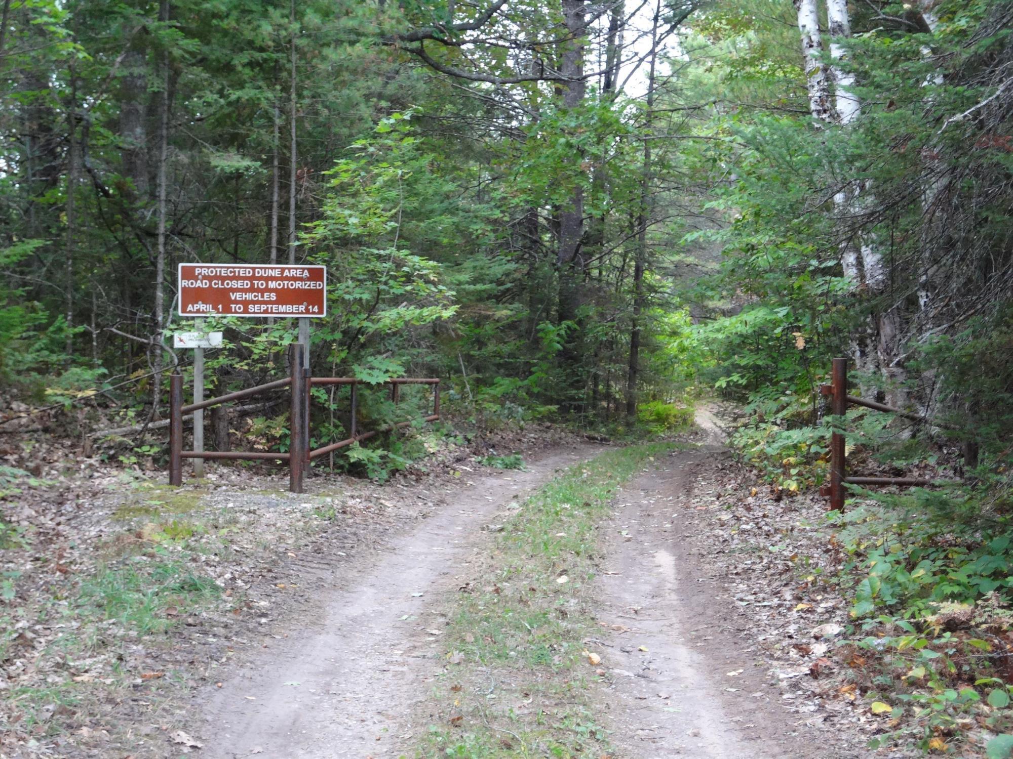 a critical dune area in Emmet County