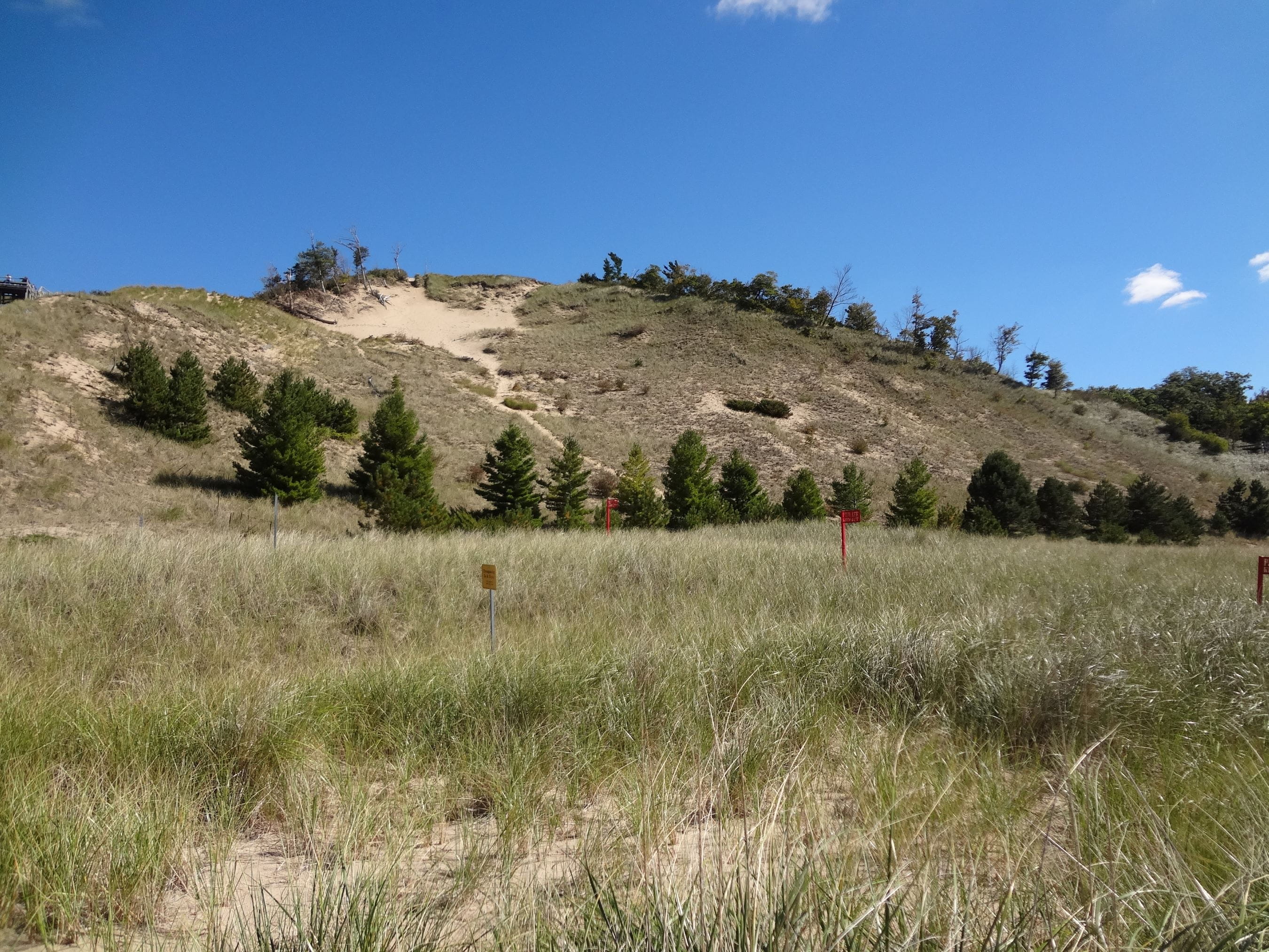 a Critical Dune Area in Laketown Twp.