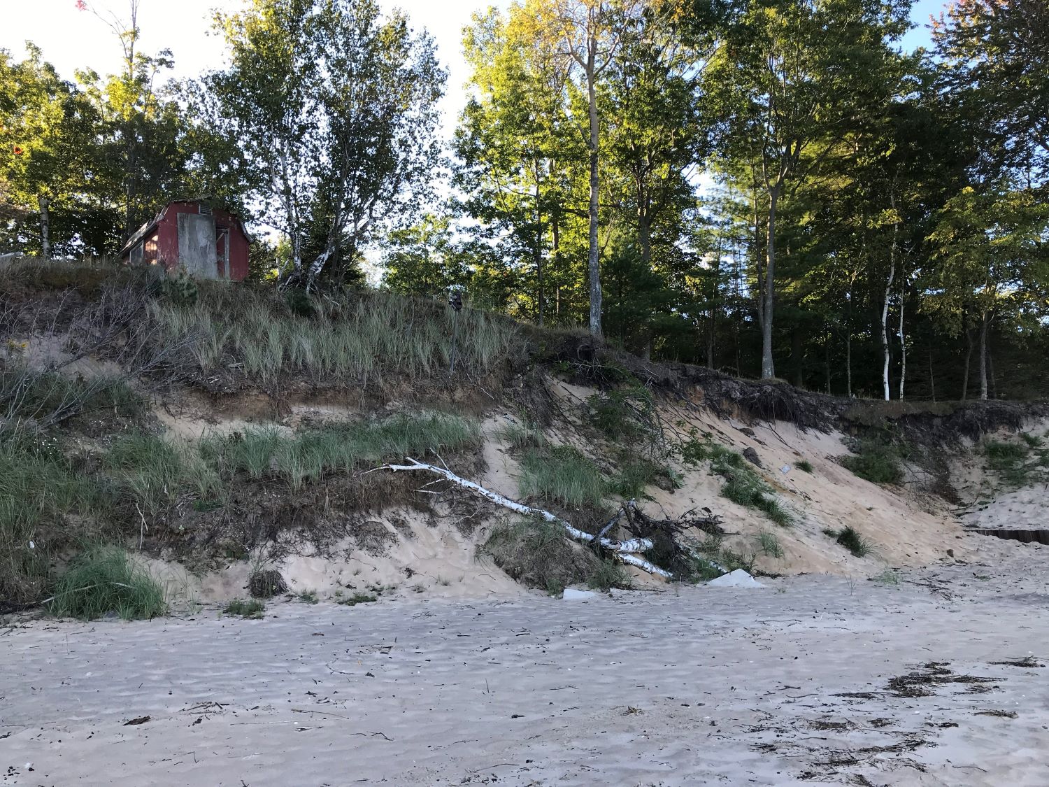 A barrier dune in Manistee County Michigan