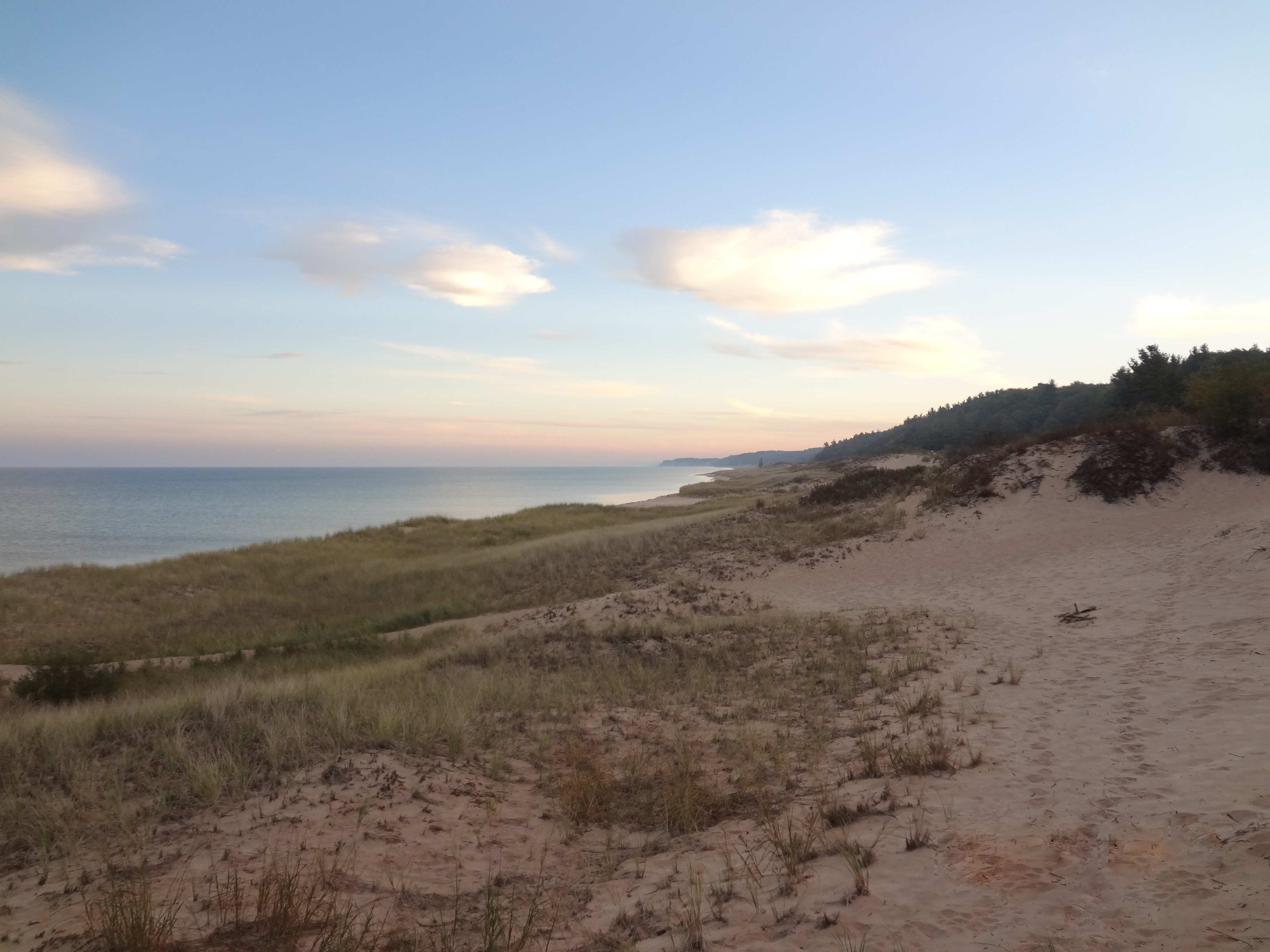 Mason county critical dune area