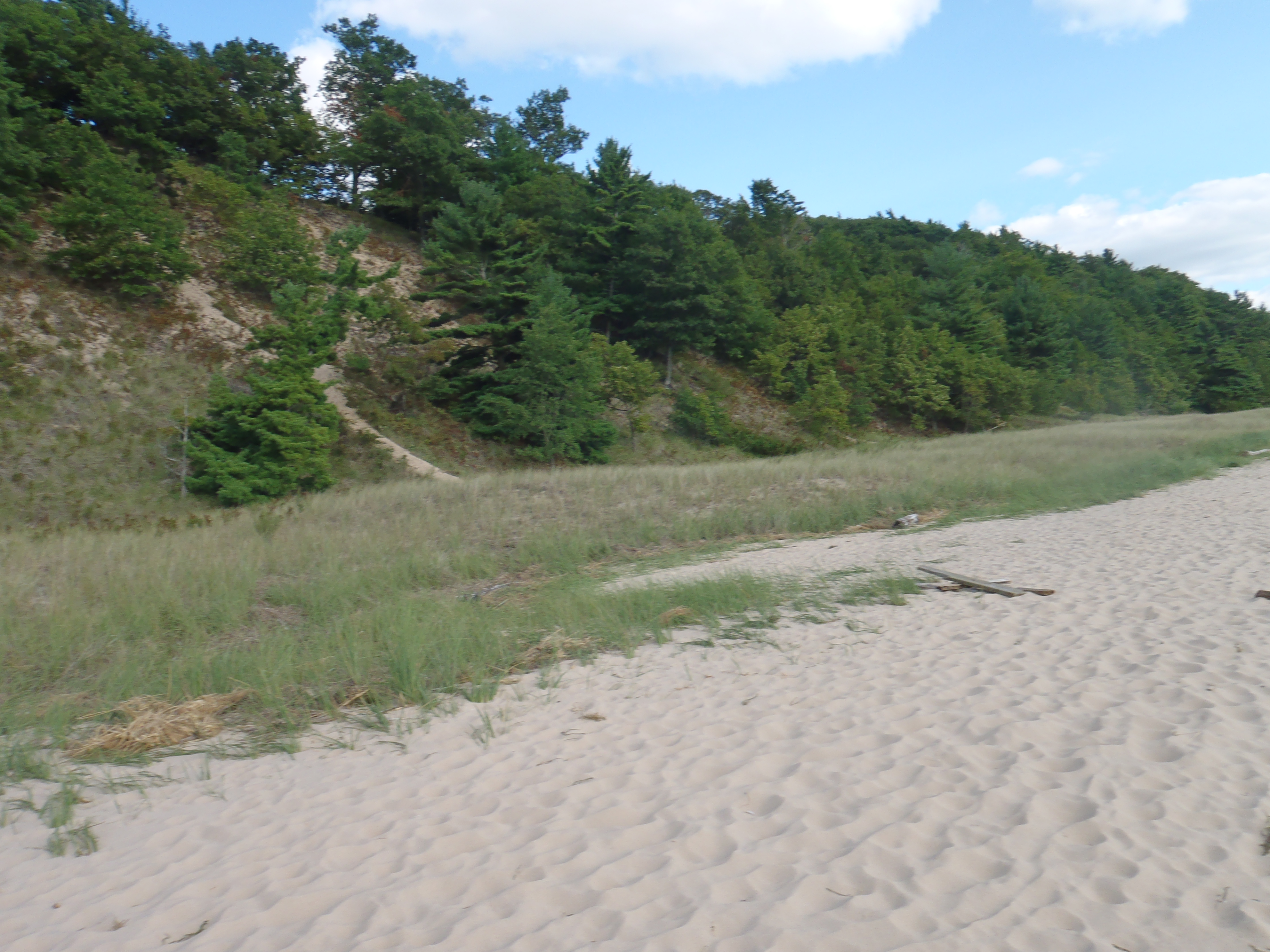 Muskegon county barrier dune