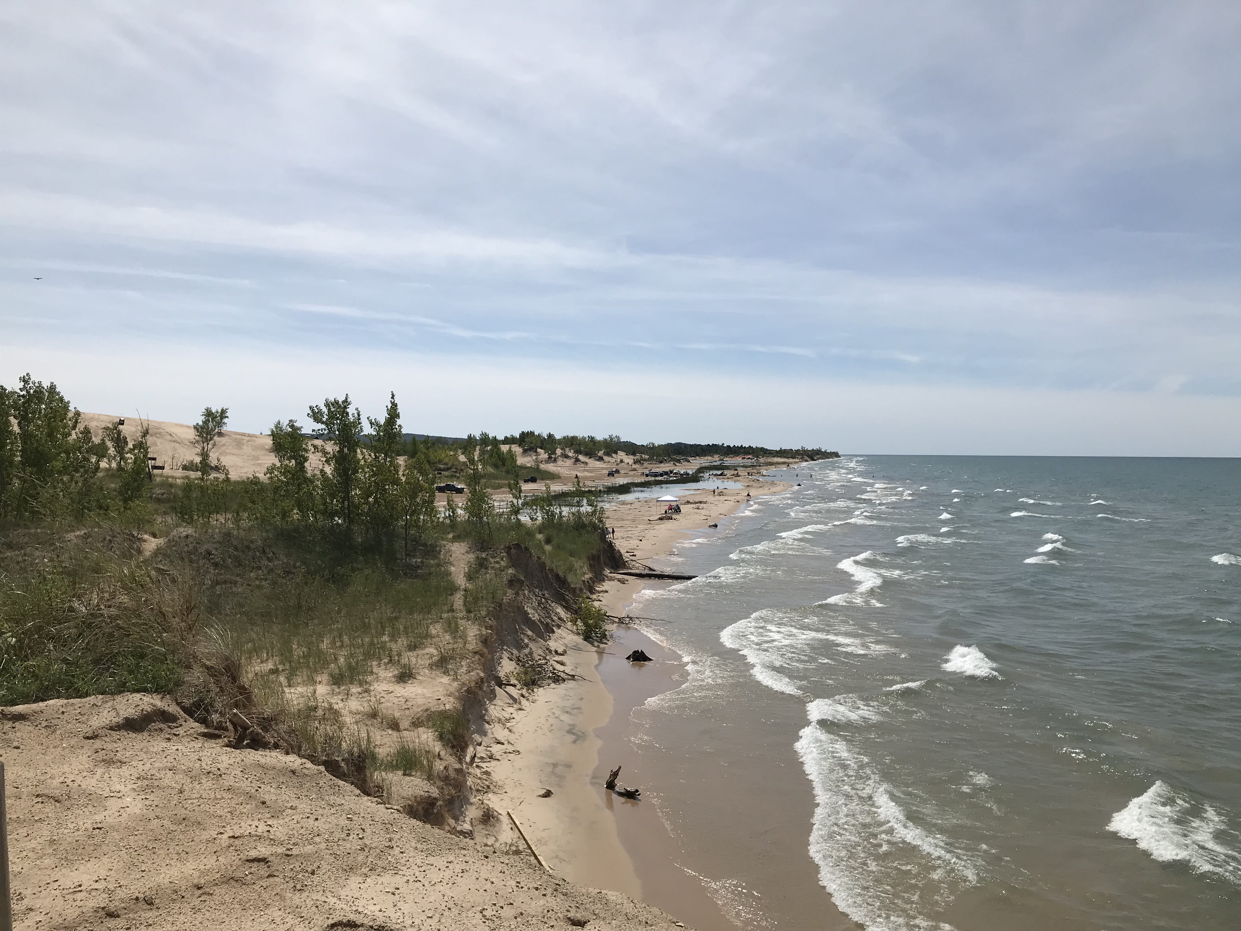 Oceana county barrier dune