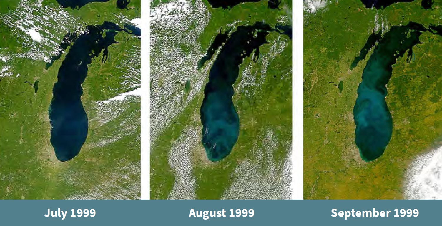 Satellite imagery showing the progression of a whiting even in Lake Michigan in 1999.  The lake color gets lighter each month, July through September.