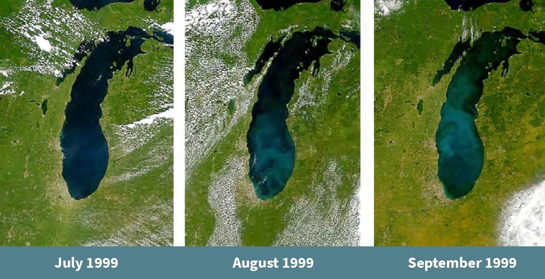 Satellite imagery showing the progression of a whiting even in Lake Michigan in 1999. The lake color gets lighter each month, July through September.