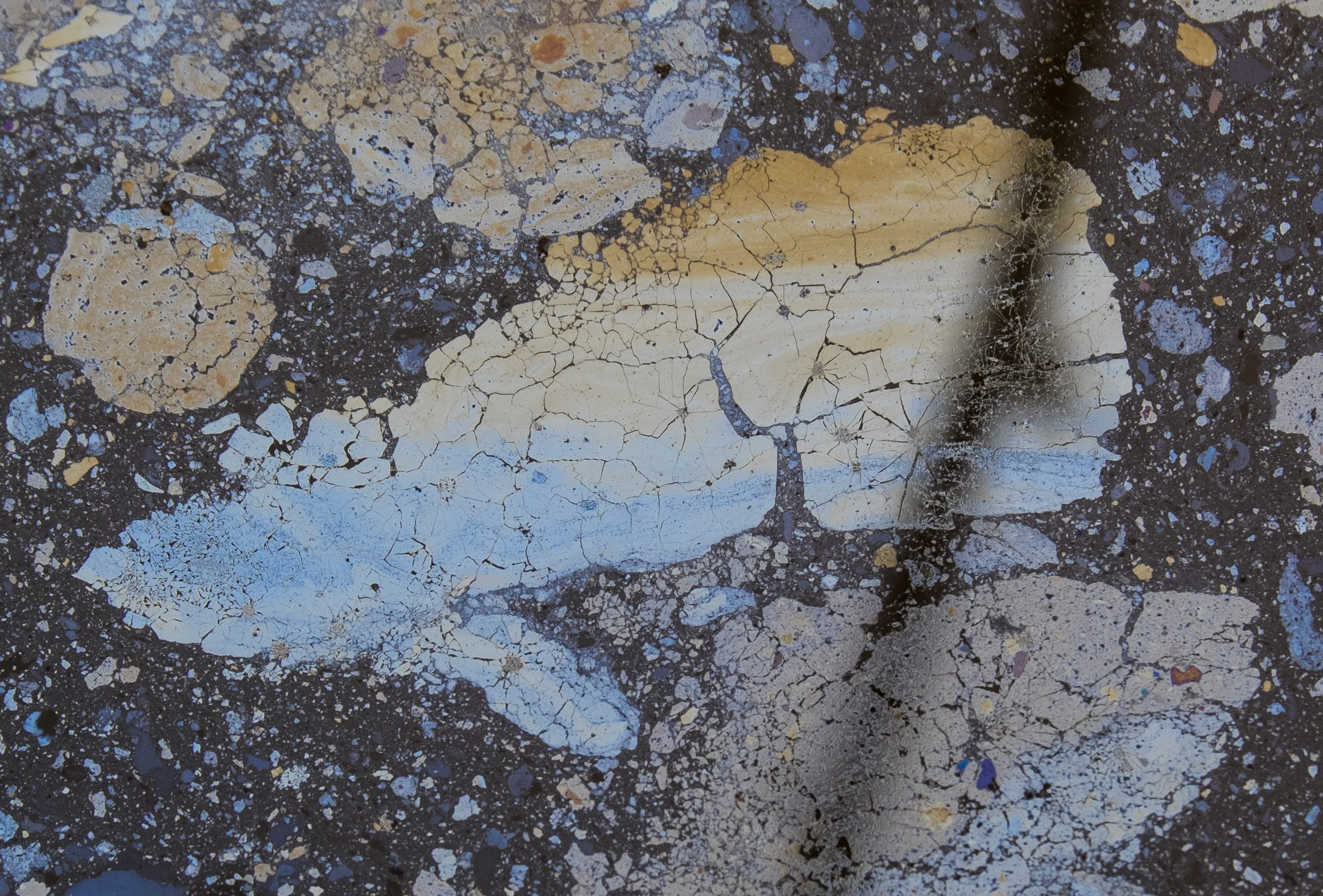 bacteria creating an oil-like sheen on surface of water