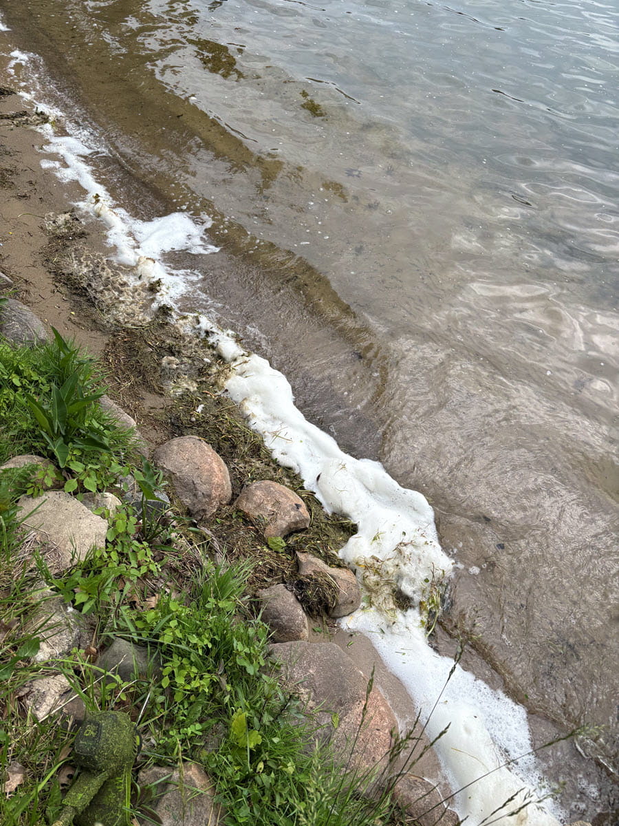 natural foam along rocky and sandy lakeshore