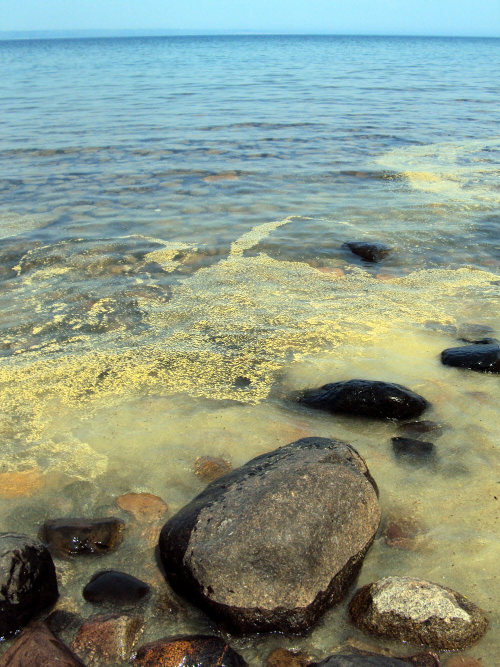 yellow pollen drifts over rocky lake bed