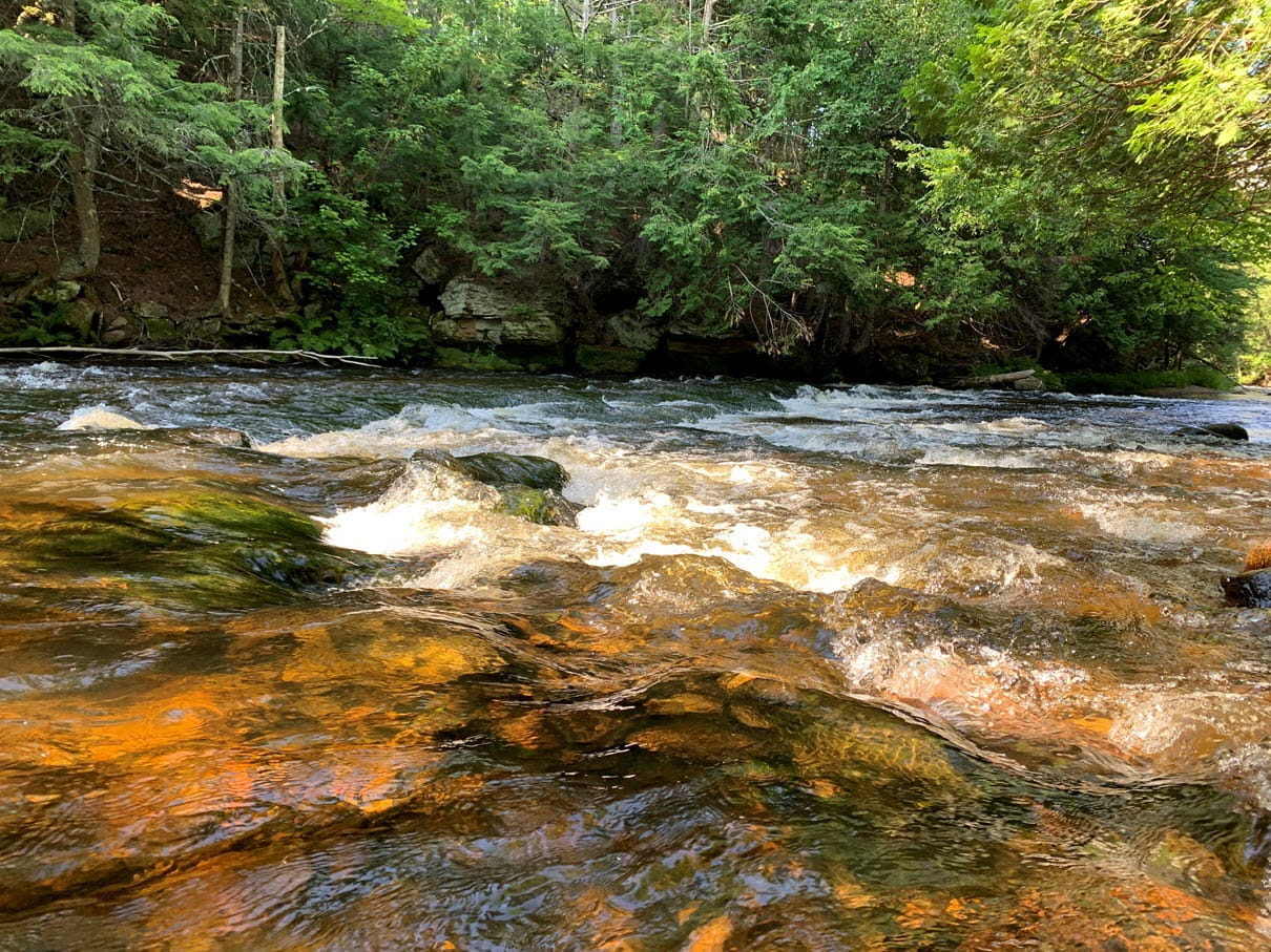 A wide, clear river flows quickly over sand and boulders in a wooded valley. Lush trees and foliage line the riverbanks.