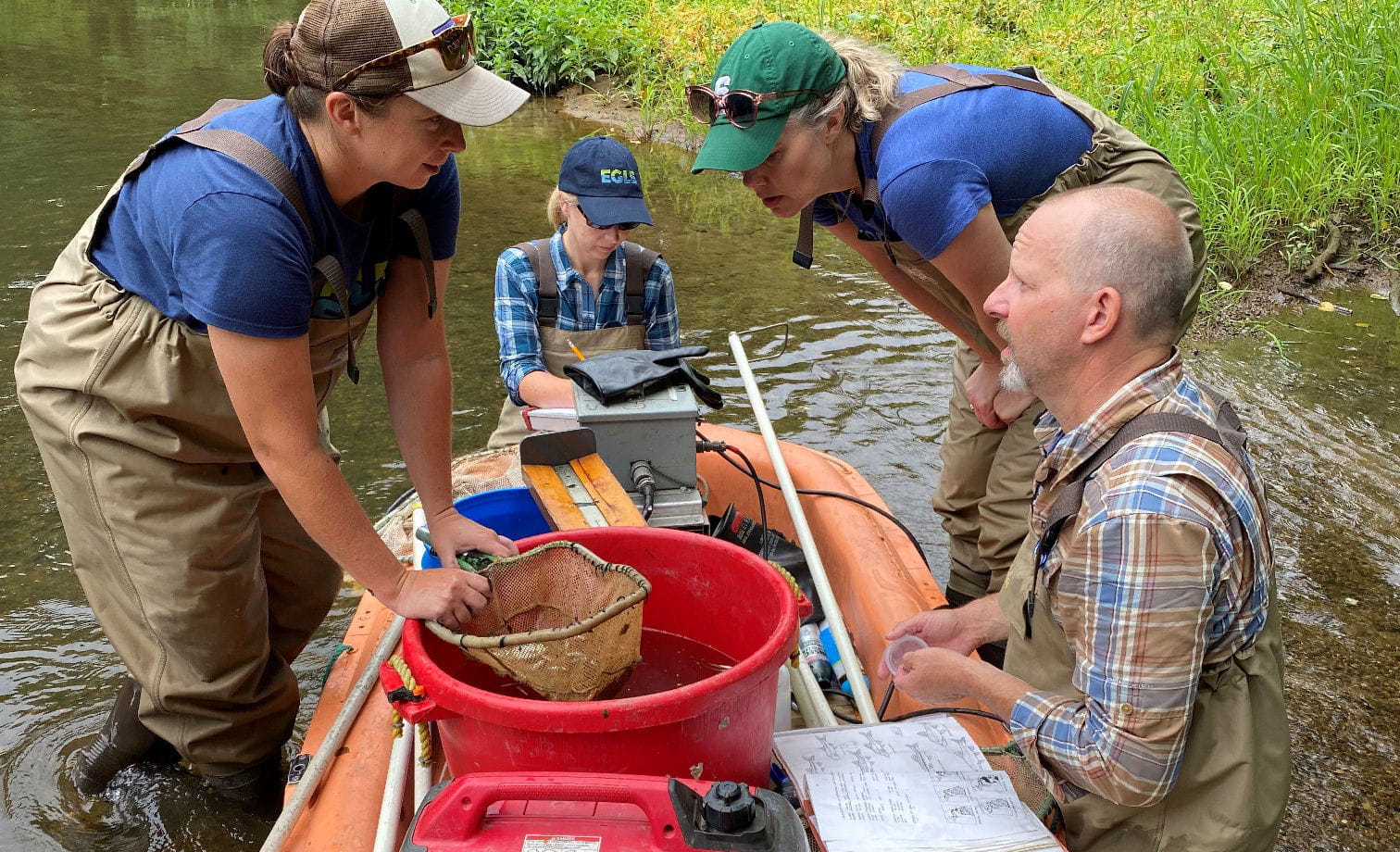 EGLE staff counting aquatic "bugs"