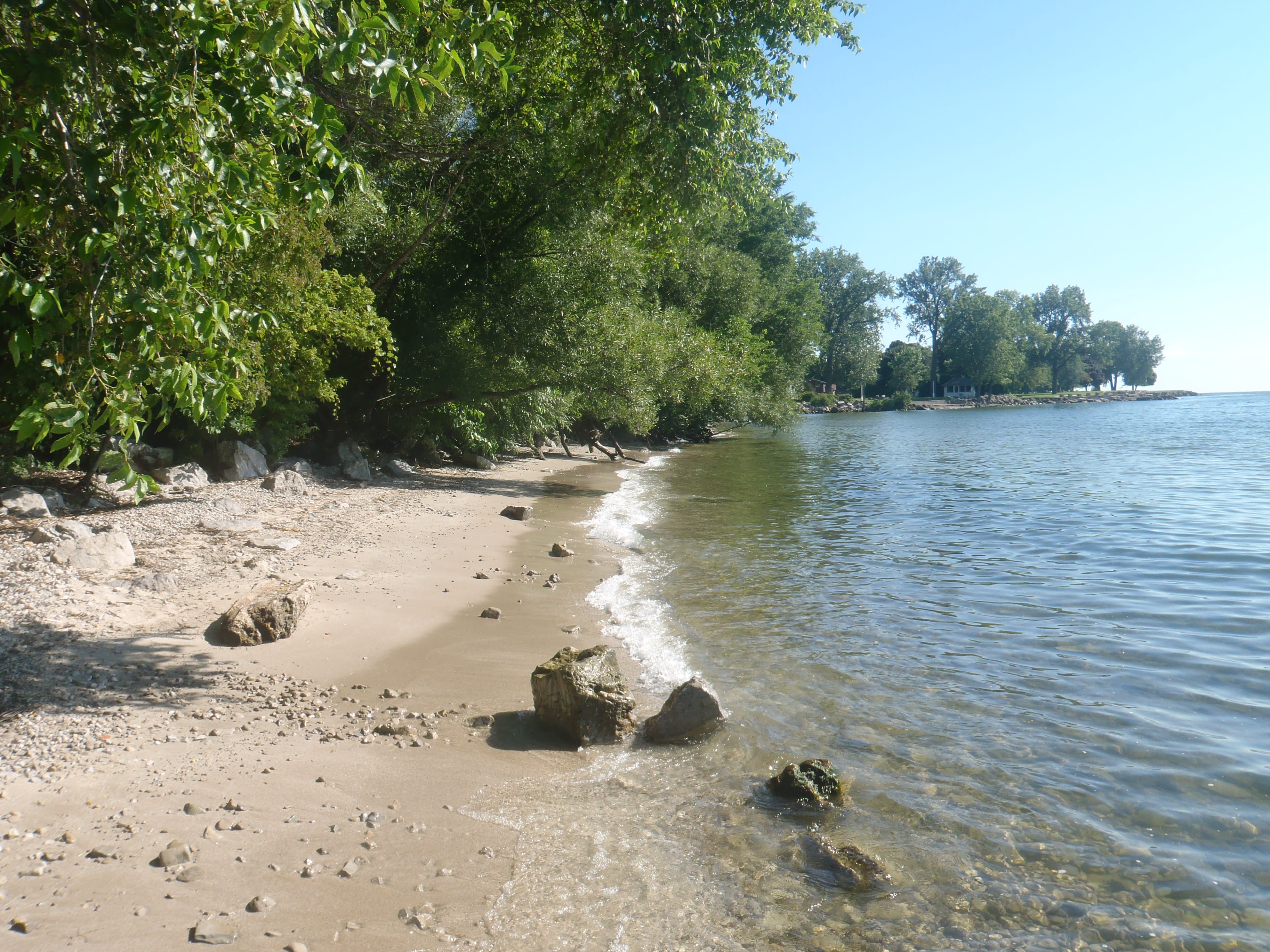 Lake Erie shoreline near Stony Point