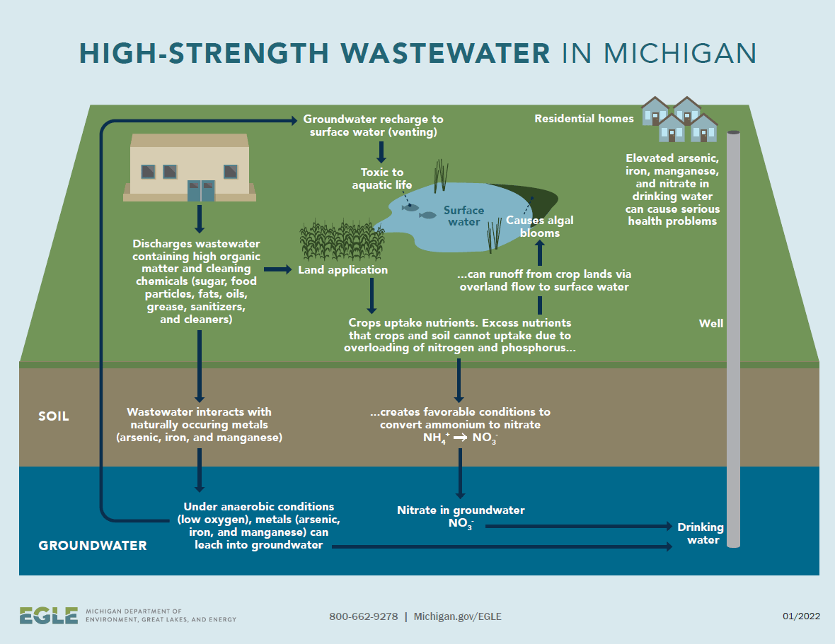 Process showing how facility wastewater discharge that is full of high organic matter and cleaning chemicals can adversely impact groundwater, aquatic life, and human life, particularly by leading to elevated arsenic, iron, manganese, and nitrates in residential drinking water.