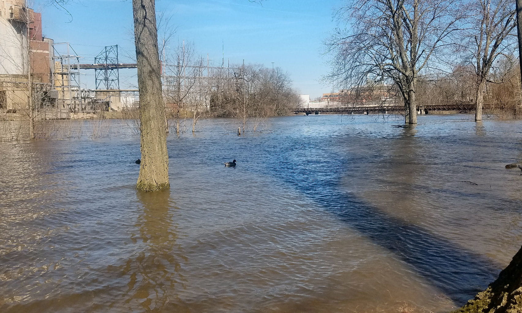 flooding along Grand River in Lansing