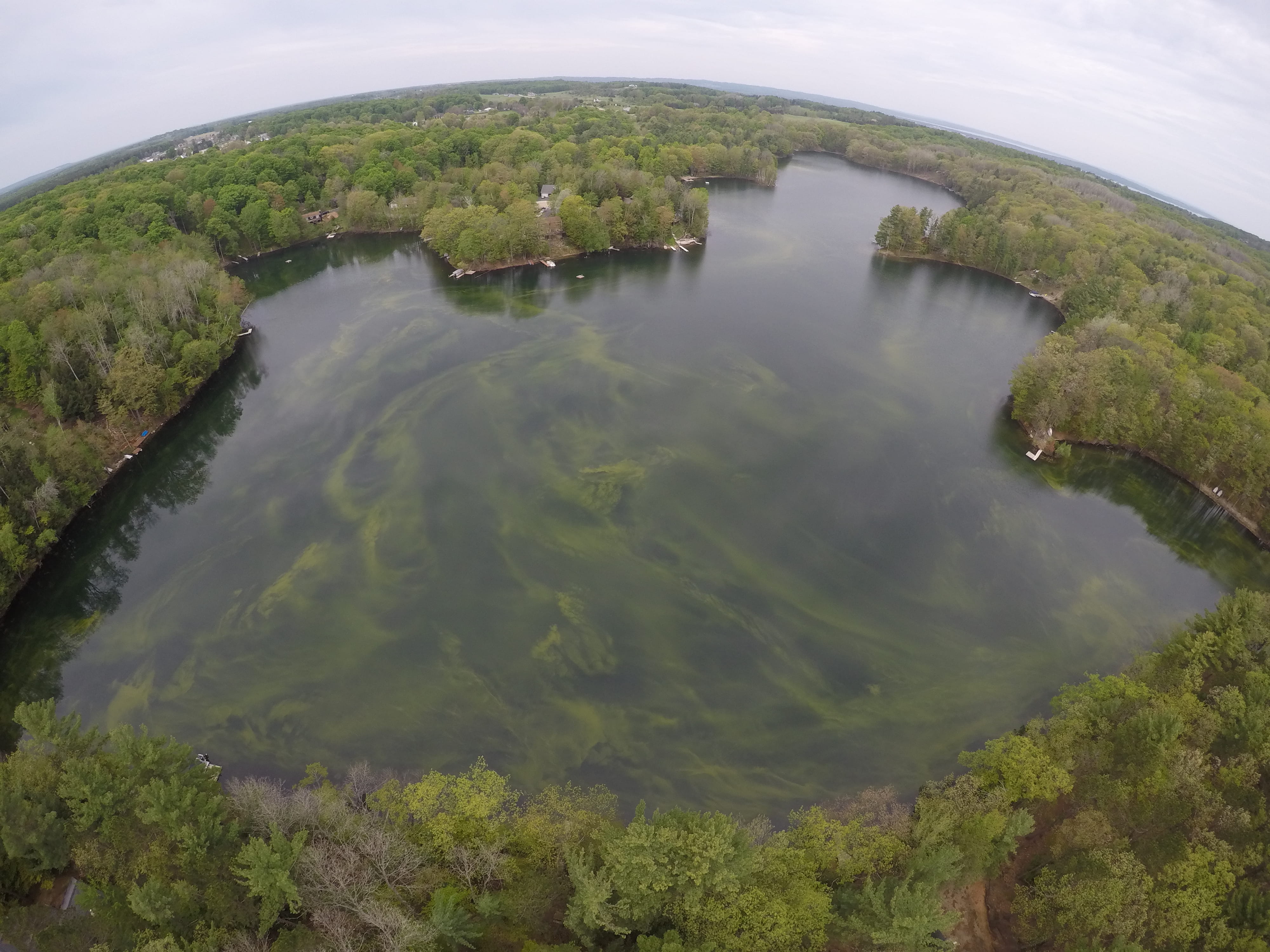 Aerial view of a Harmful Algal Bloom in a Michigan Lake.