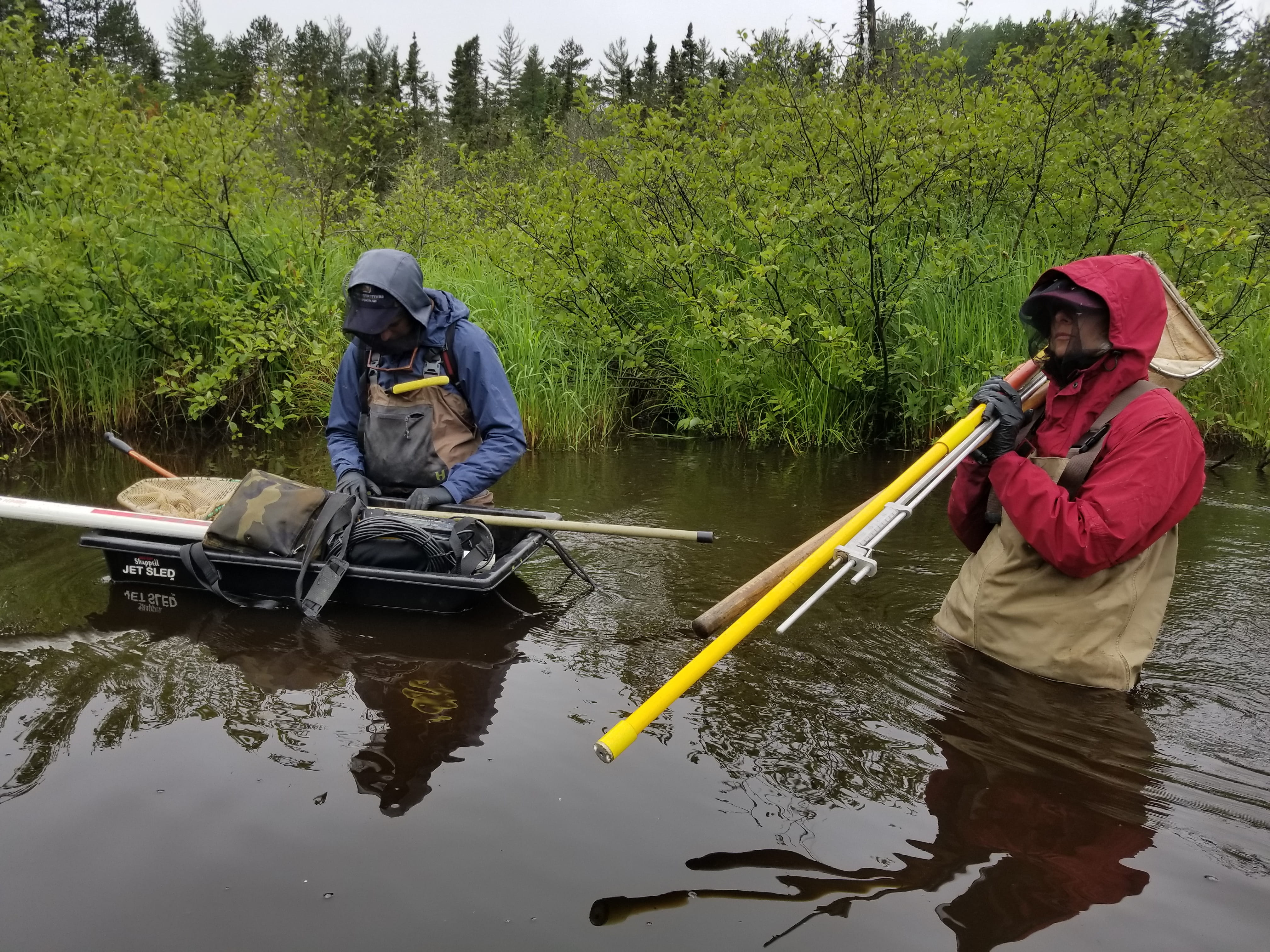 EGLE Water Resources Division staff carry water, fish, and aquatic insect sampling equipment into the Shelldrake River, in the Eastern Upper Peninsula of Michigan.