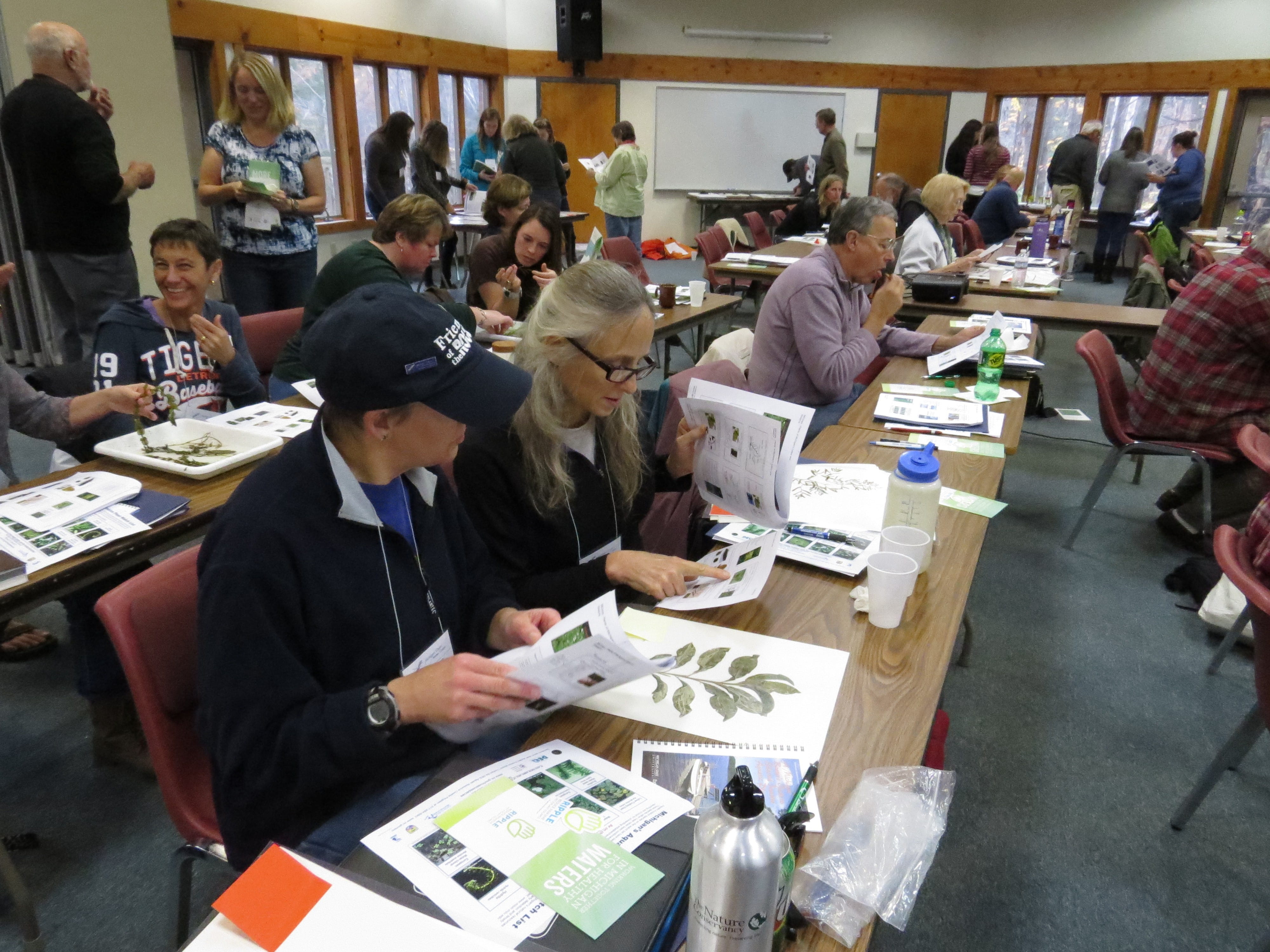 People at 2016 MiCorps conference work on plant identification. 