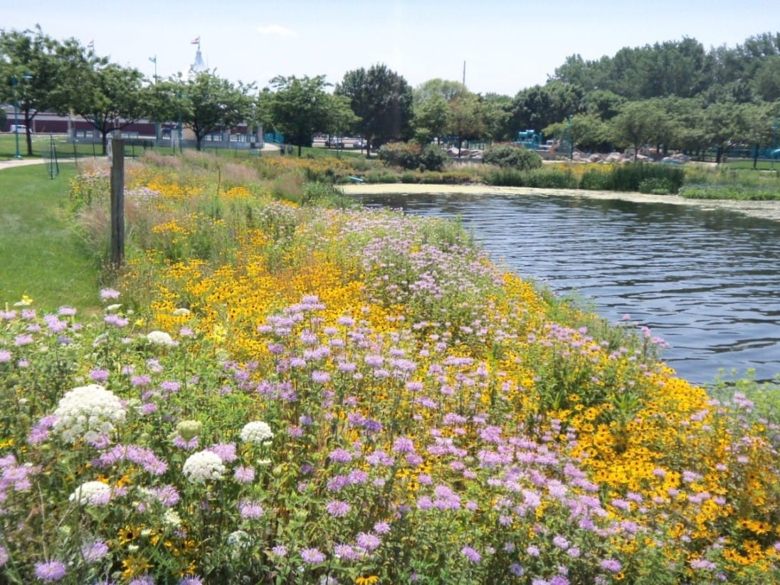 The Heritage Landing restoration site on Muskegon Lake in Muskegon, Mich. after habitat restoration.
