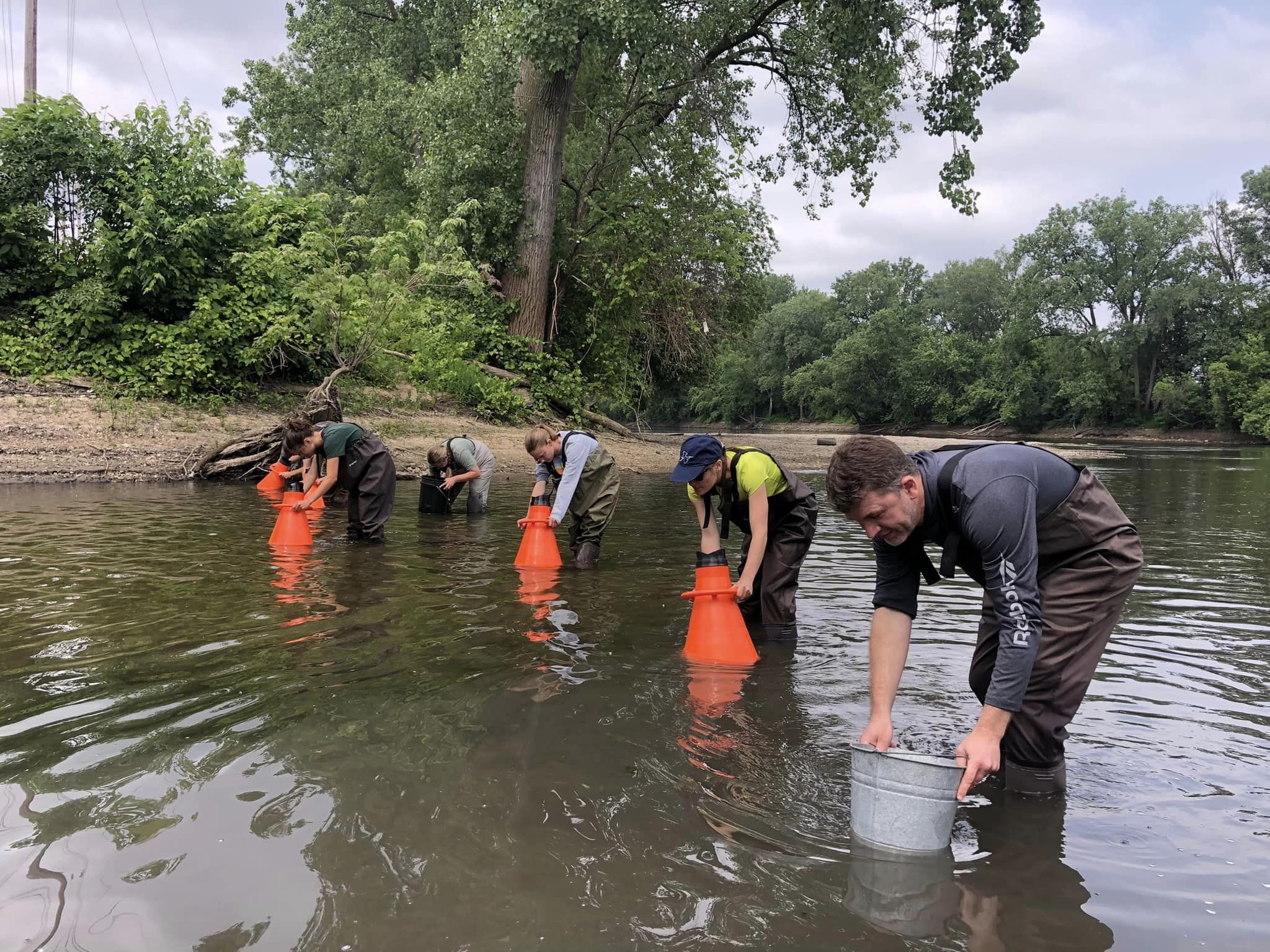 A group – including EGLE staffers Dana Strouse and Kelsey Krupp – look for mussels in the Plaster Creek using aqua scopes.