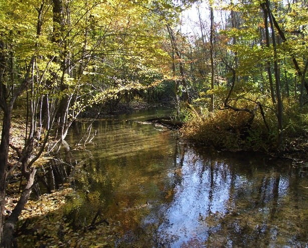 Prairieville Creek flowing through land protected by the James Conservation Easement.