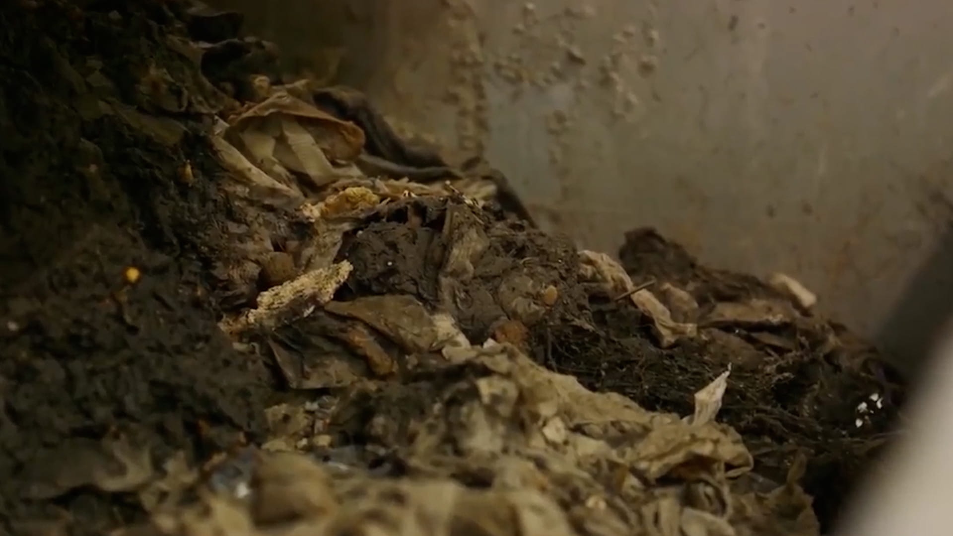 Wipes mucking up the works at the Great Lakes Water Authority’s Water Resource Recovery Facility. Courtesy of Great Lakes Water Authority.