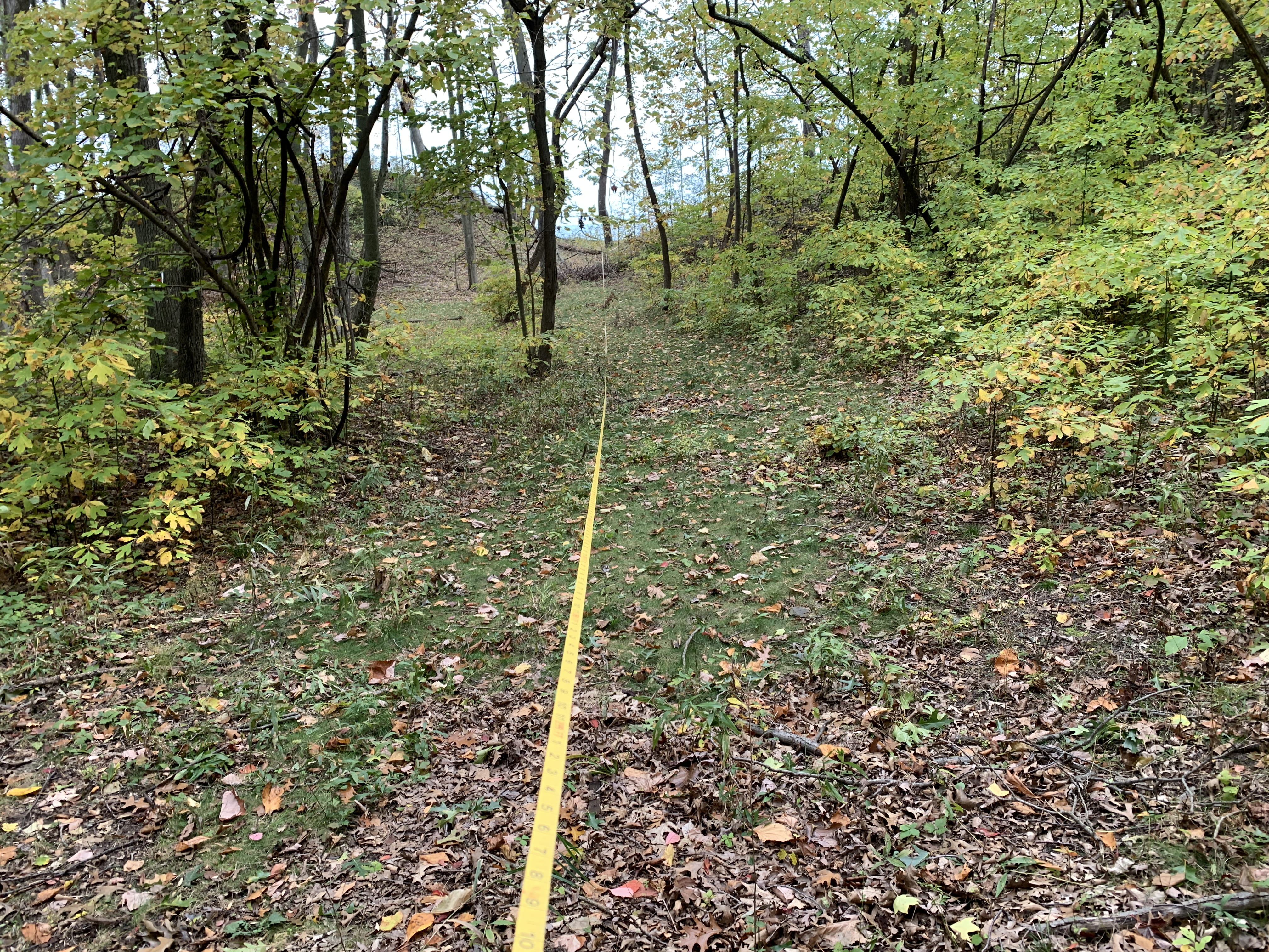 Looking through the forest at a setback measurement