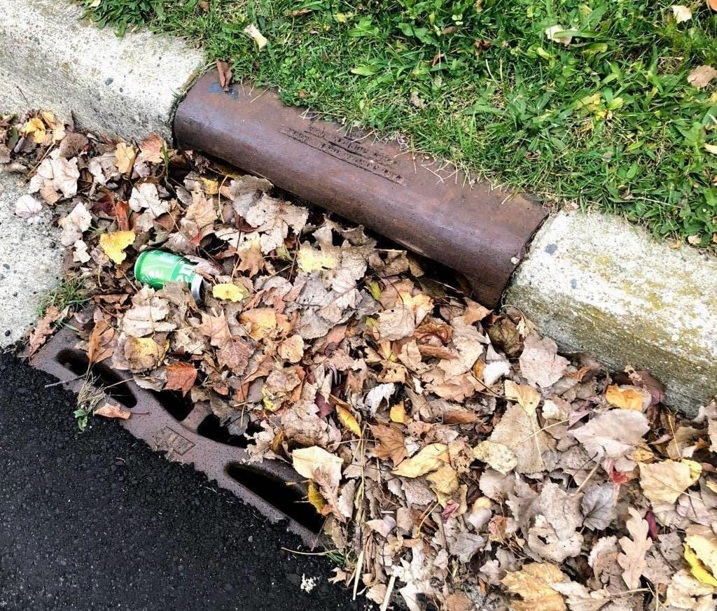 A stormwater drain clogged with leaves and litter.